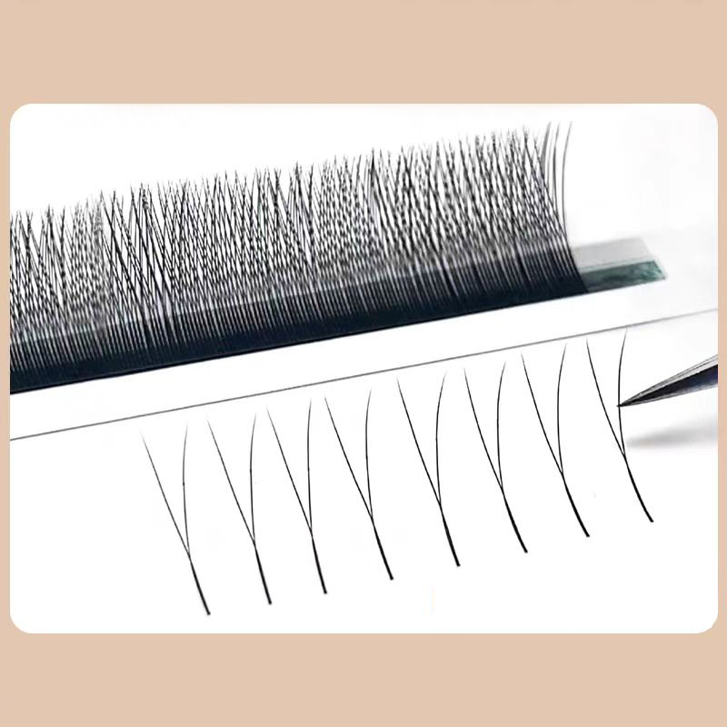 マリア 2D Y シェイプまつげハンドプレミアム 2D まつ - Eyelash Extension Yy のレビューと価格