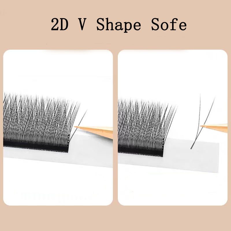 マリア 2D Y シェイプまつげハンドプレミアム 2D まつ - Eyelash Extension Yy のレビューと価格